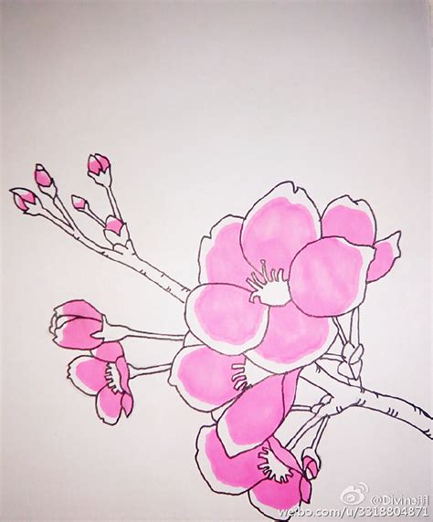 桃花画法|【Procreate教程】桃花怎么画？超好用水彩笔刷免费更新